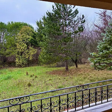 Nature Gate Airport